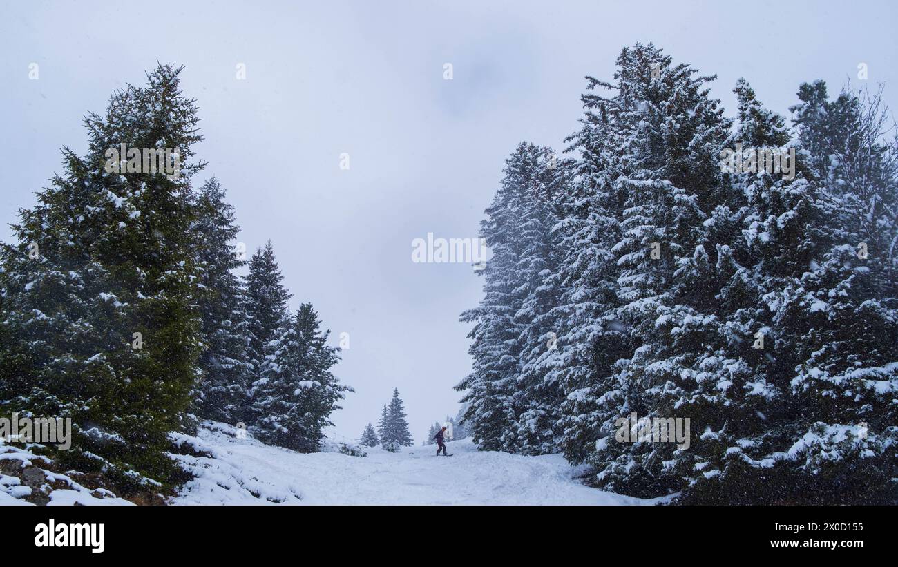 Piste lines hi-res stock photography and images - Alamy