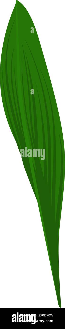 Lily of valley flower leaf. Beautiful flower for making summer and spring meadow  designs. Vector illustration. Stock Vector