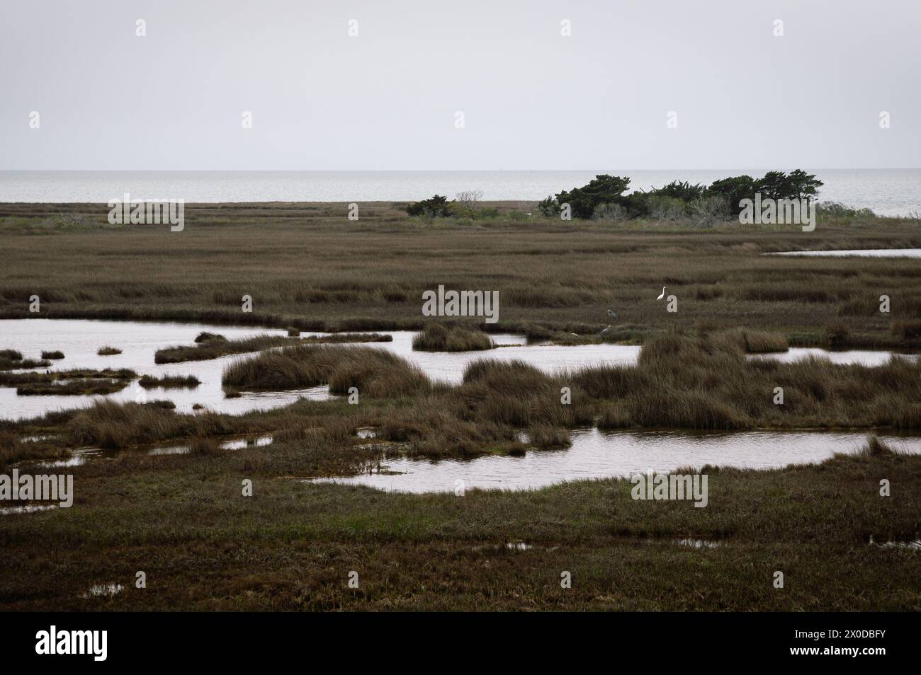 View of Atlantic Ocean from Pea Island National Wildlife Reserve Stock Photo