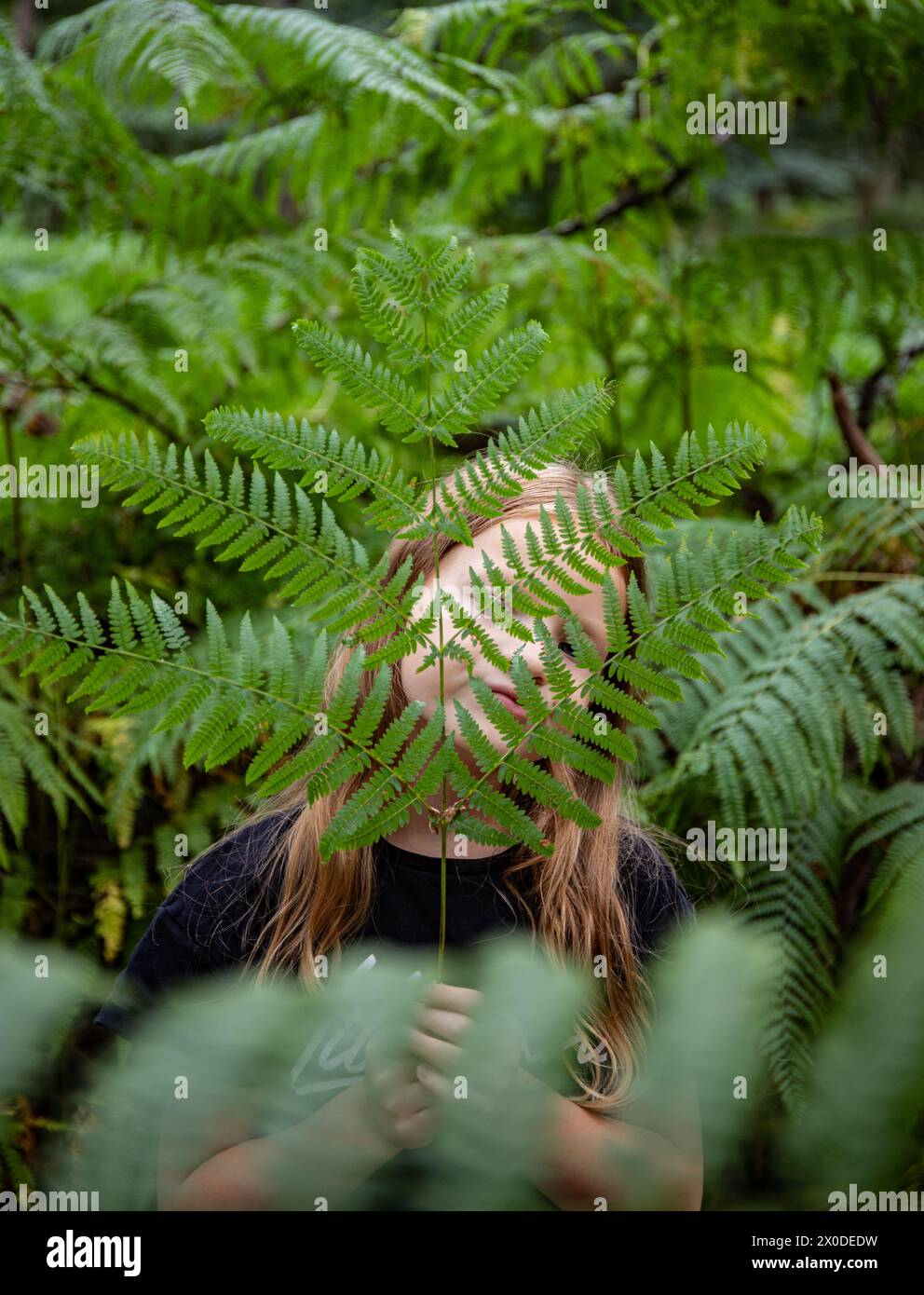 Girl playing with green leaf in a fern forest childhood fun Stock Photo