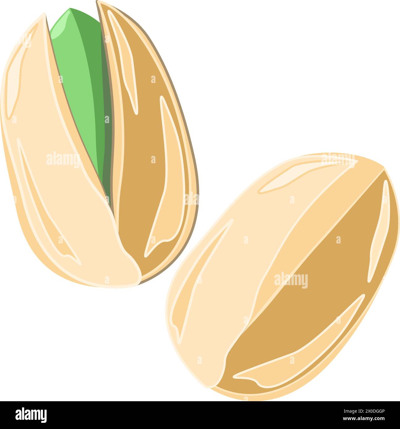 Pistachios nuts whole and open nut in flat technique. Vector