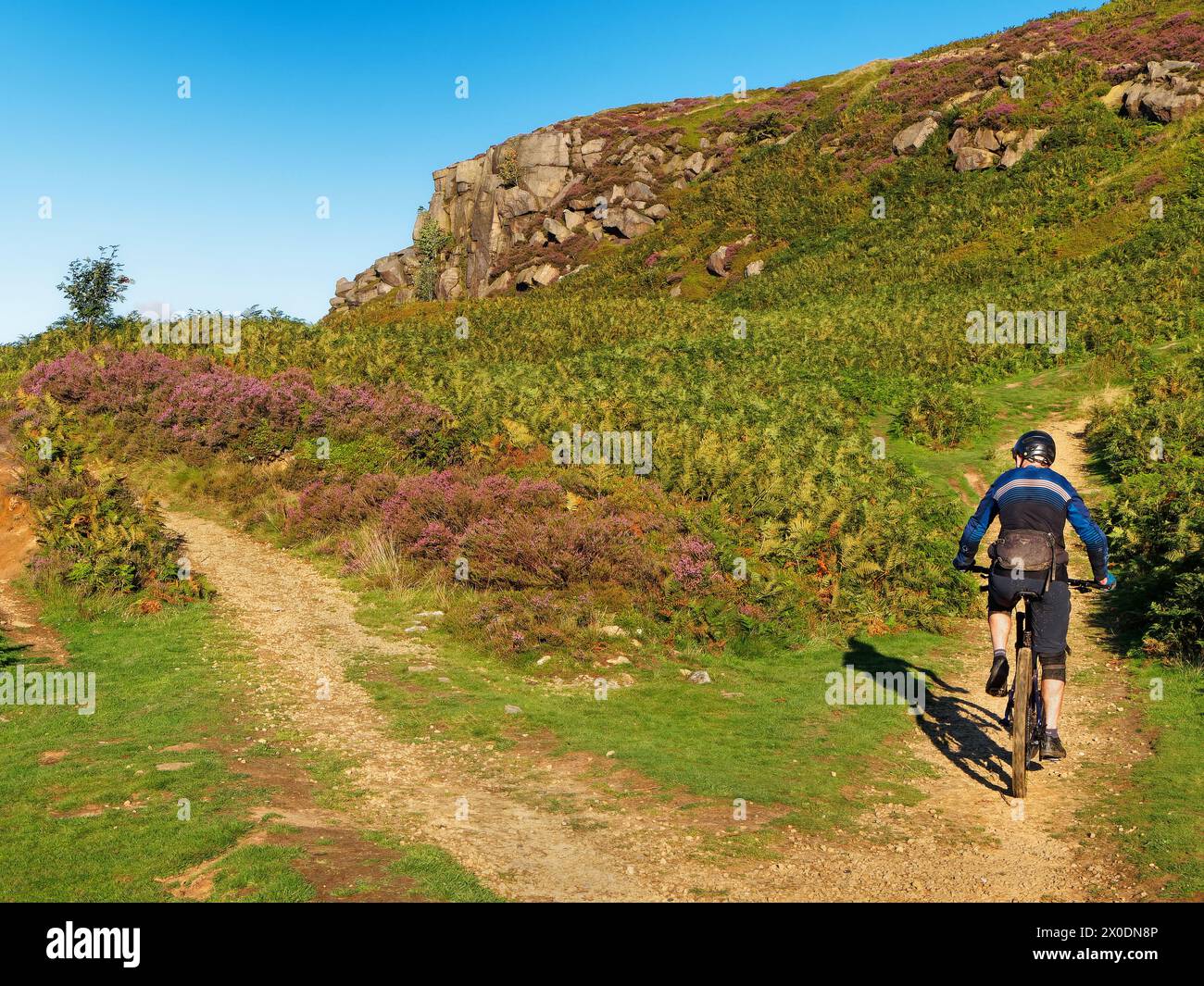 UK, West Yorkshire, Ilkley, Ilkley Moor, Footpaths through Rocky Valley and Ilkley Crags. Stock Photo