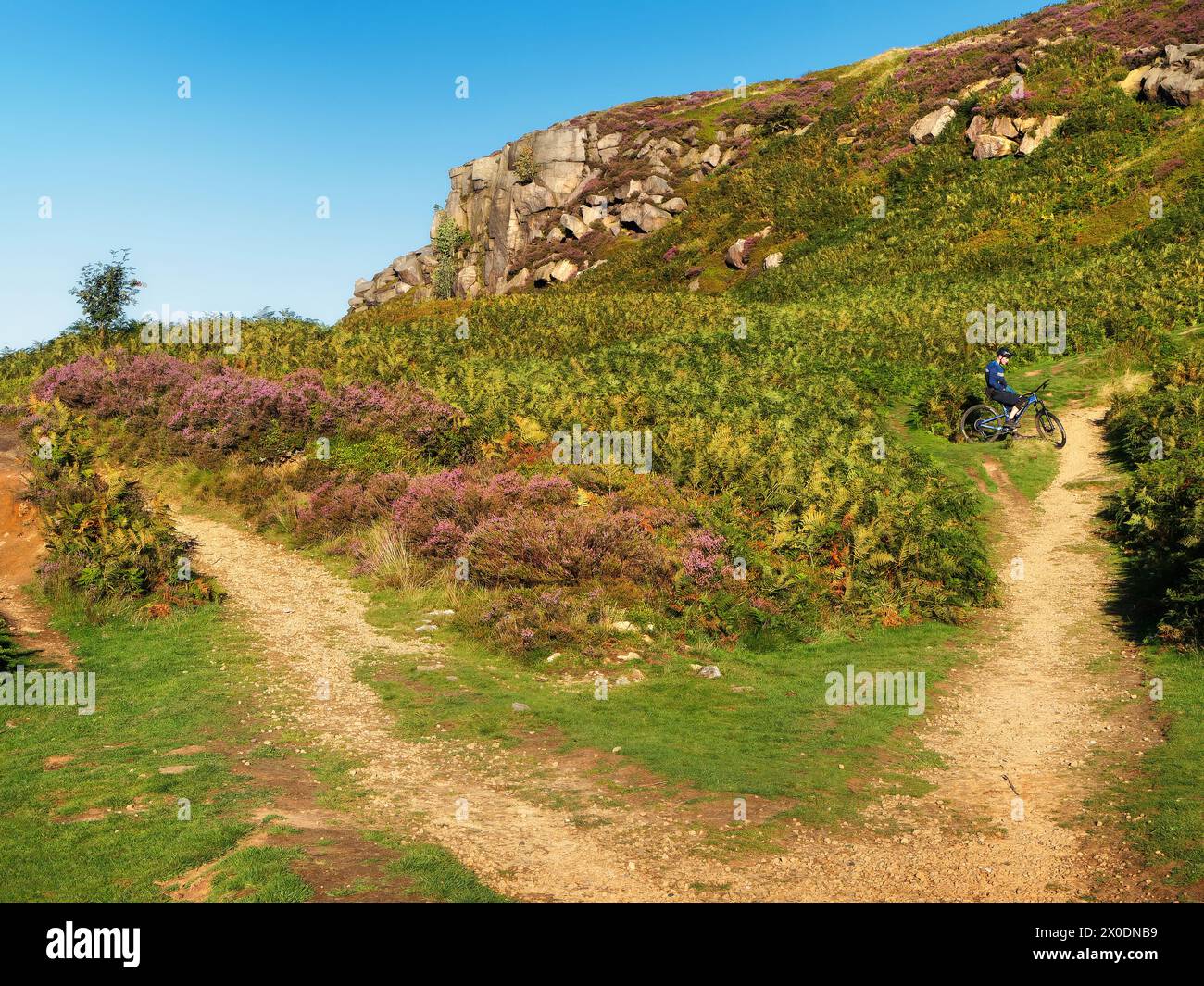 UK, West Yorkshire, Ilkley, Ilkley Moor, Footpaths through Rocky Valley and Ilkley Crags. Stock Photo