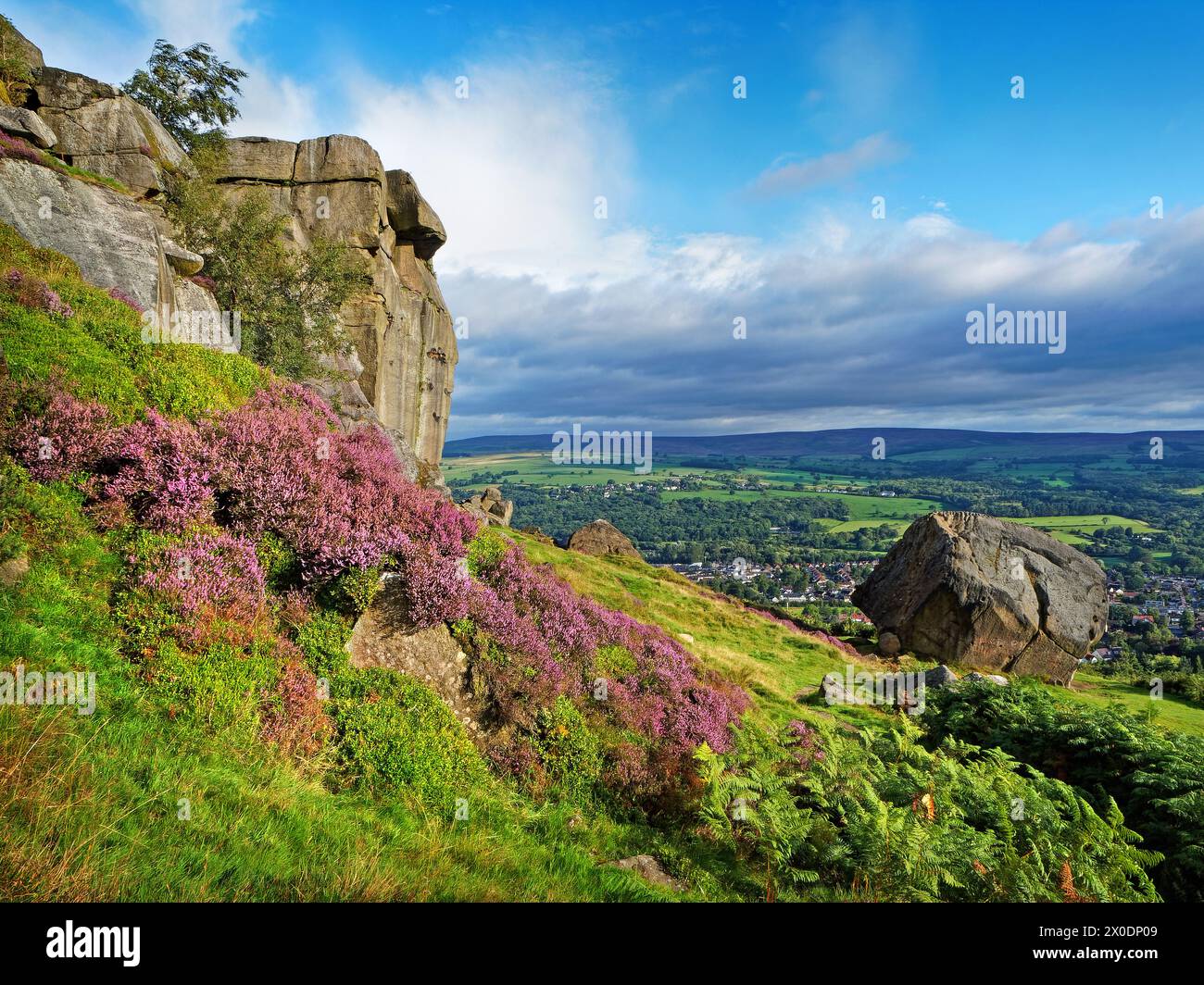 UK, West Yorkshire, Ilkley, Ilkley Moor Cow and Calf Rocks. Stock Photo