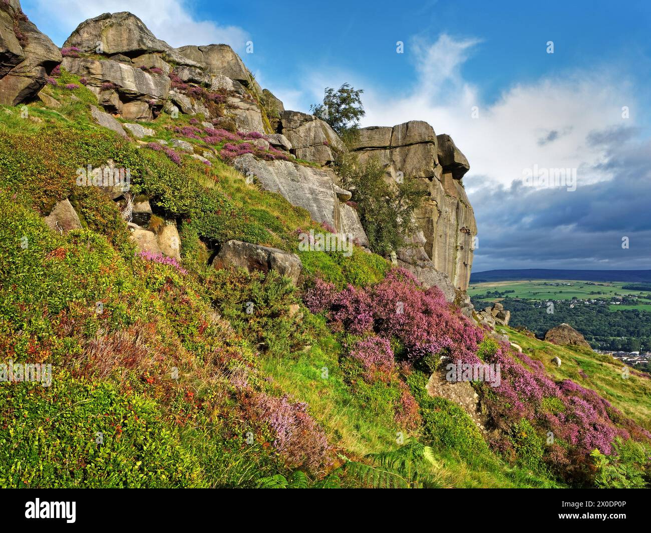UK, West Yorkshire, Ilkley, Ilkley Moor Cow Rock Formation. Stock Photo