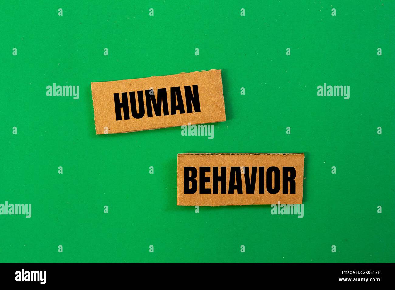 Human behavior words written on paper pieces with green background. Conceptual symbol. Copy space. Stock Photo