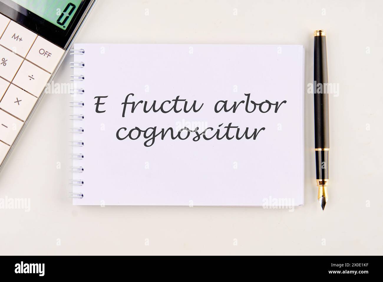 E fructu arbor cognoscitur the phrase in Latin translates as the Tree is known by its fruits on a white notebook Stock Photo