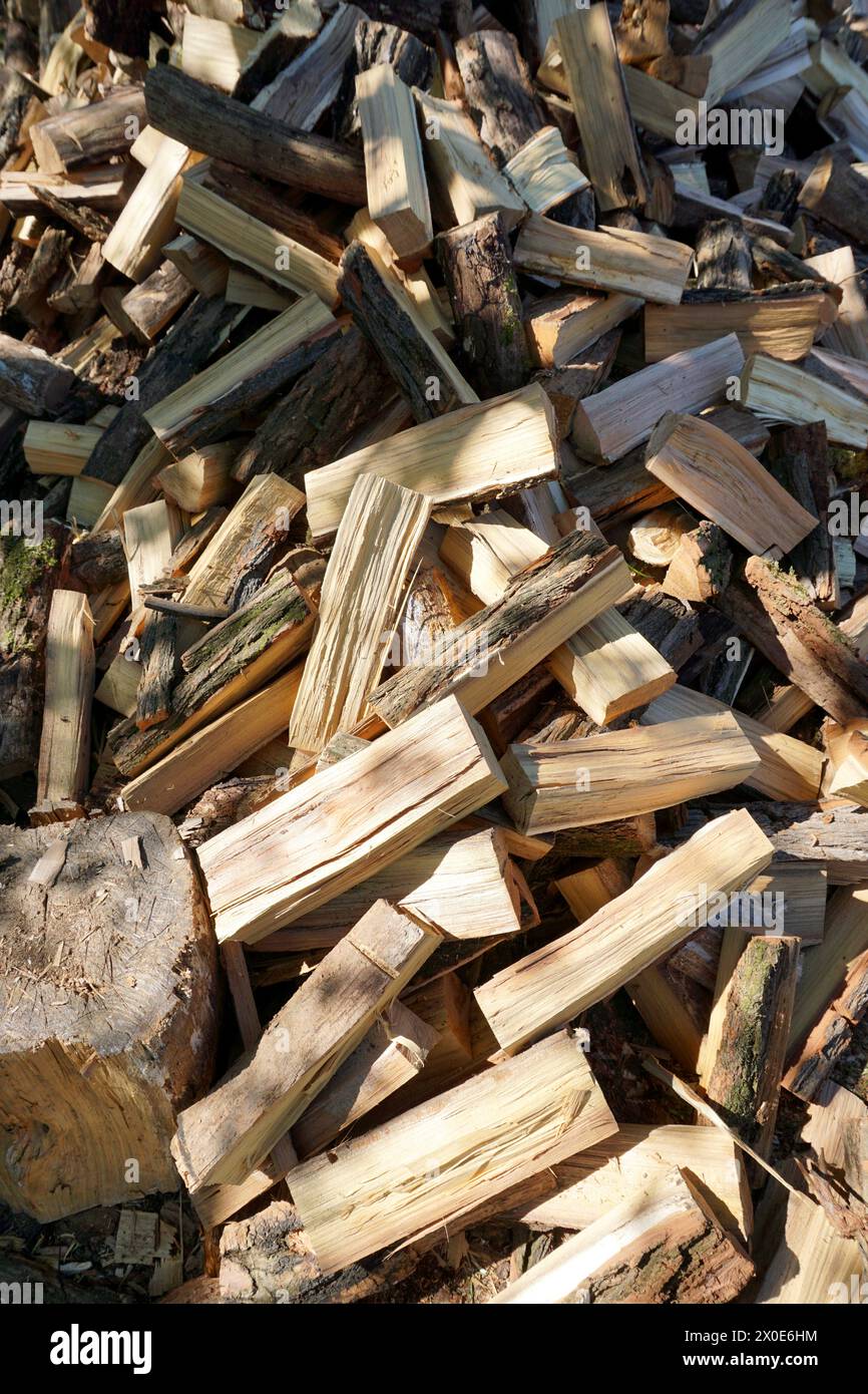 A pile of chopped firewood logs ready for the winter. Cut logs fire wood. Hardwood, wood and lumber industry. Heating season, winter season. Renewable Stock Photo