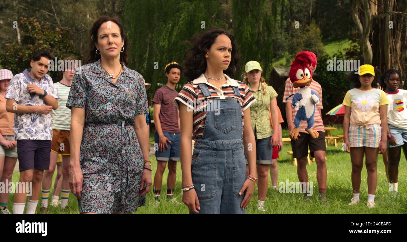 Woody woodpecker goes to camp hi-res stock photography and images - Alamy