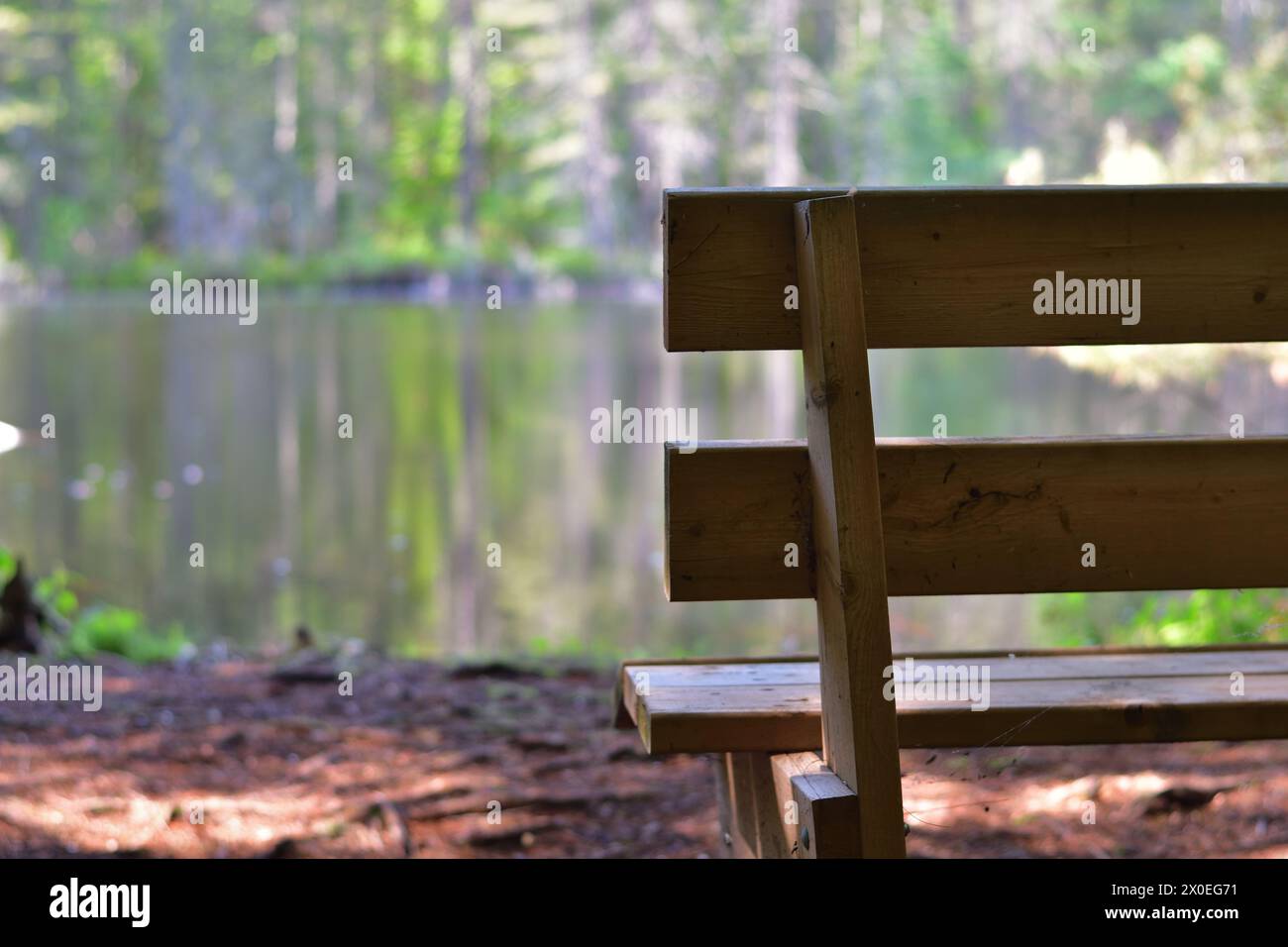 Wood park bench facing calm lake. Solitude on lake side. Calm moment. Stock Photo