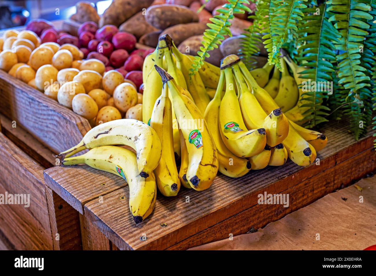 Fresh bunches of bananas and other vegetables at a produce market or farm or farmers market in Montgomery Alabama, USA. Stock Photo