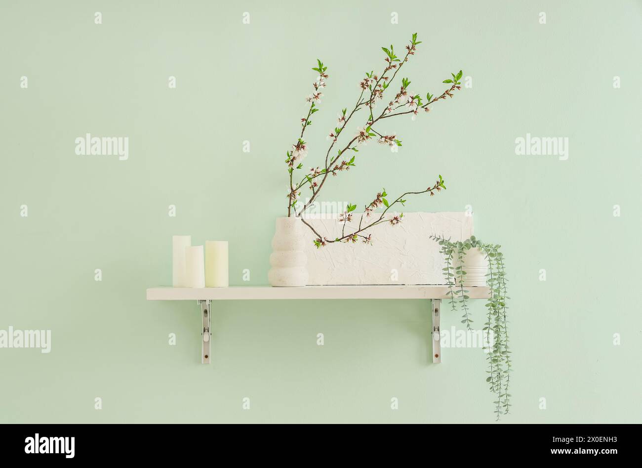Shelf with houseplant and blooming branches hanging on green wall, closeup Stock Photo
