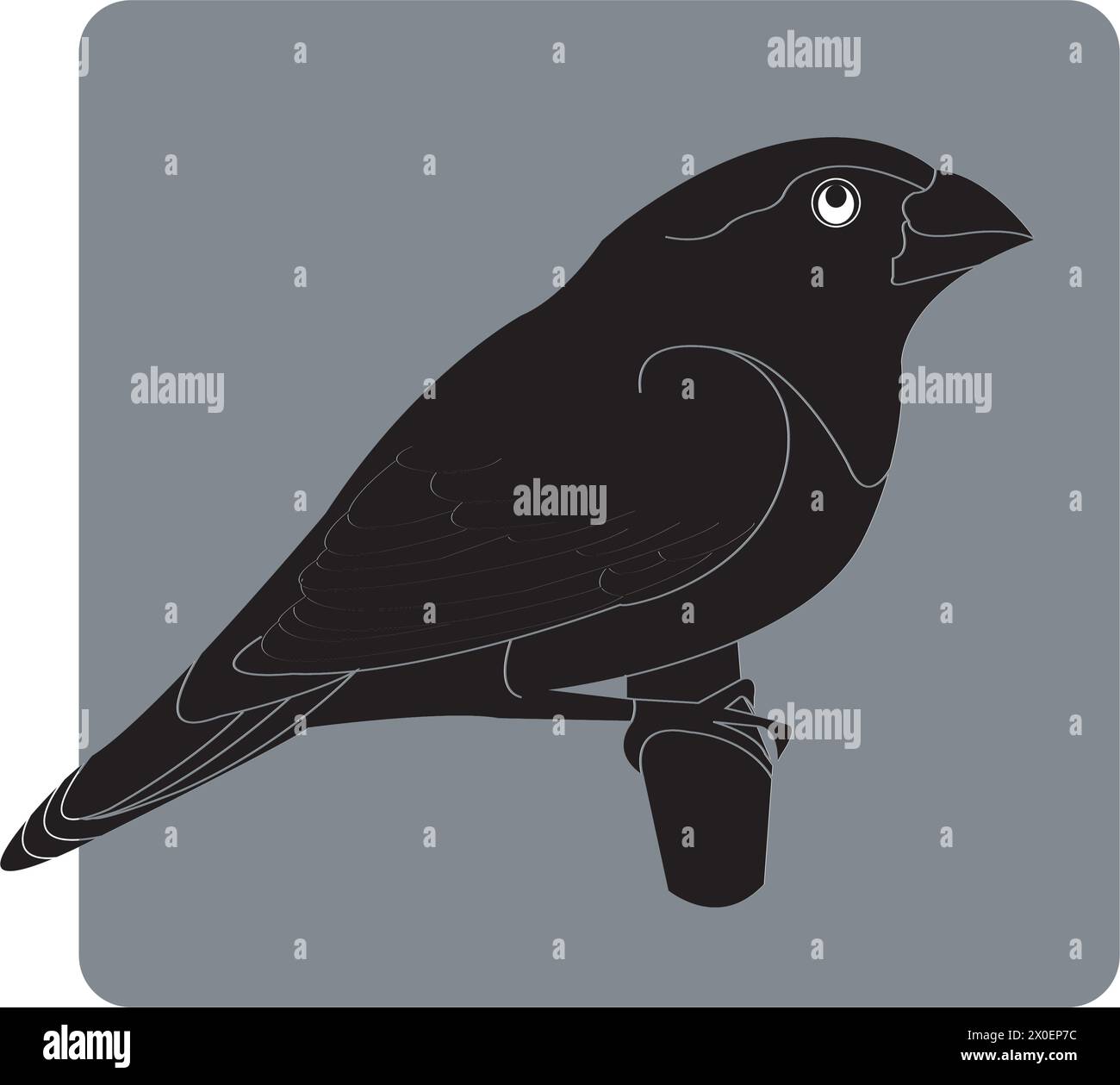 Sparrow illustration silhouette hi-res stock photography and images - Alamy