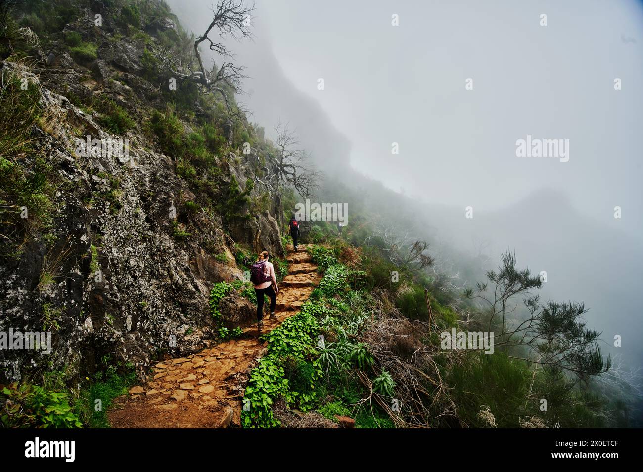 PR1 trail,  Pico do Arierio To Pico Ruivo Hike, On Madeira Island, Portugal, Europe Stock Photo