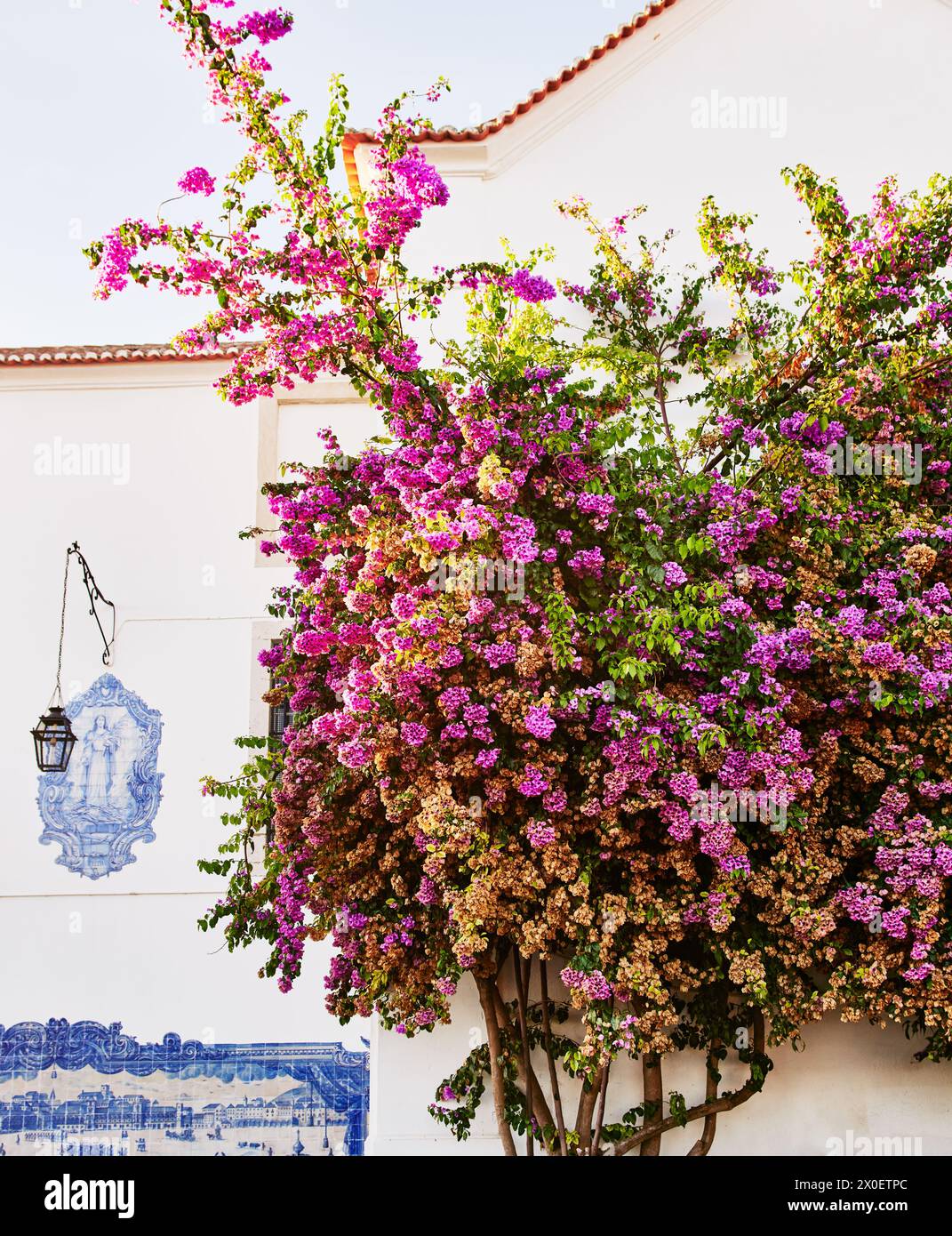 Growing up the wall hi-res stock photography and images - Alamy