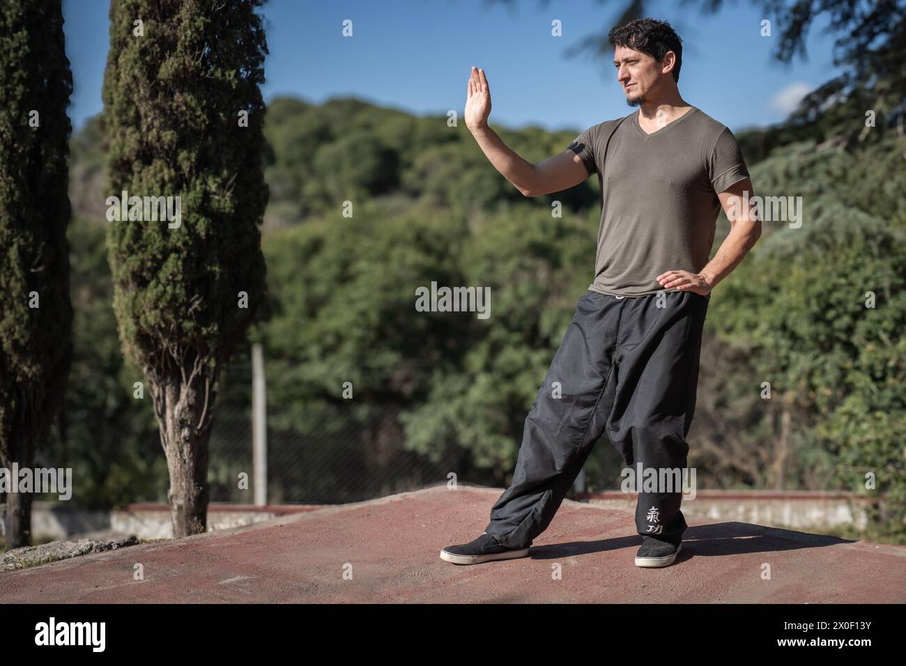 The third posture of the Bai Hu program, the static stance Santi Shi, focusing on pushing strength, being practiced outdoors by a man. Stock Photo
