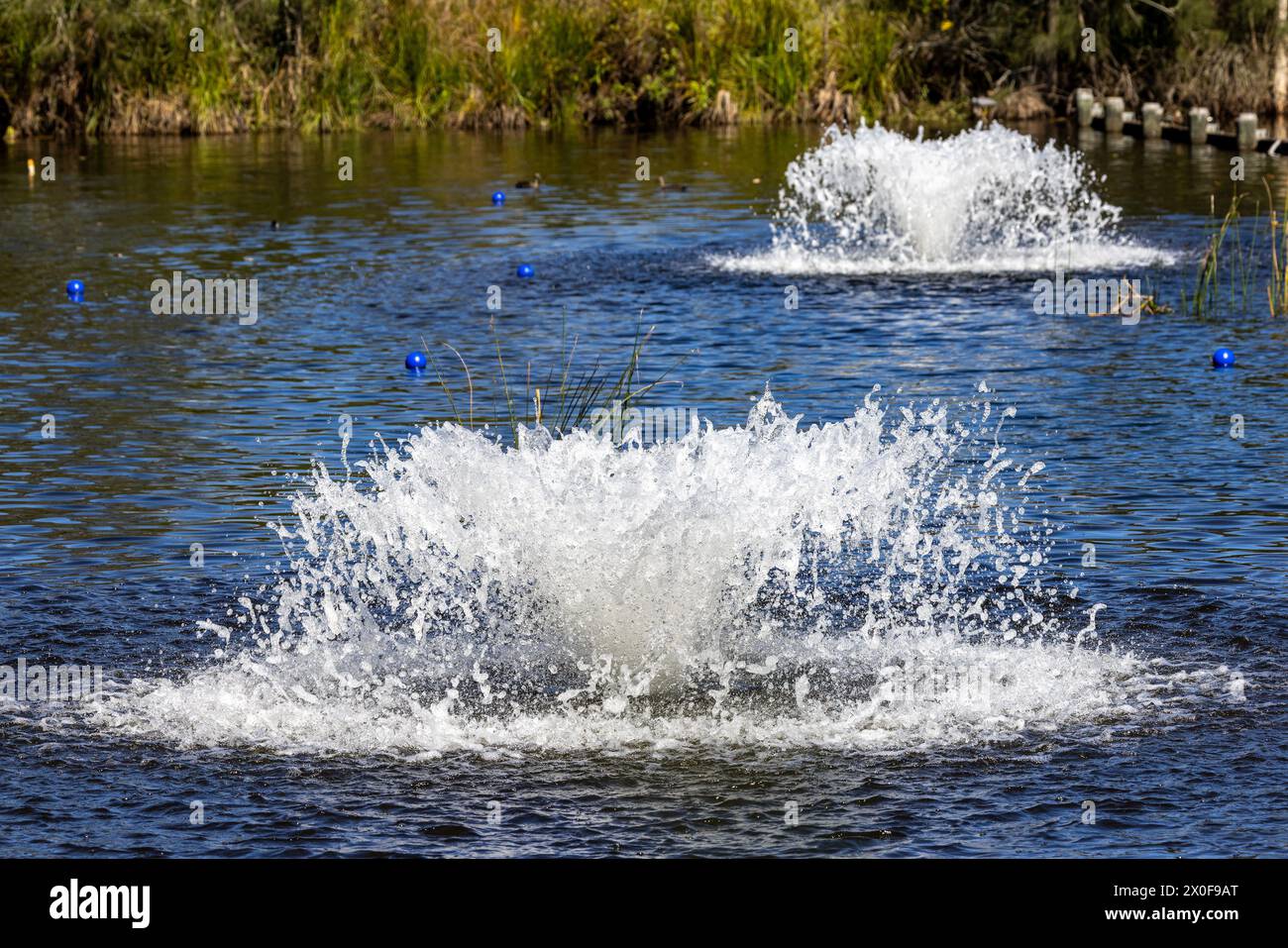 Picture Idea: Water Fountains In Wetlands Providing Aeration To Promote Healthy And