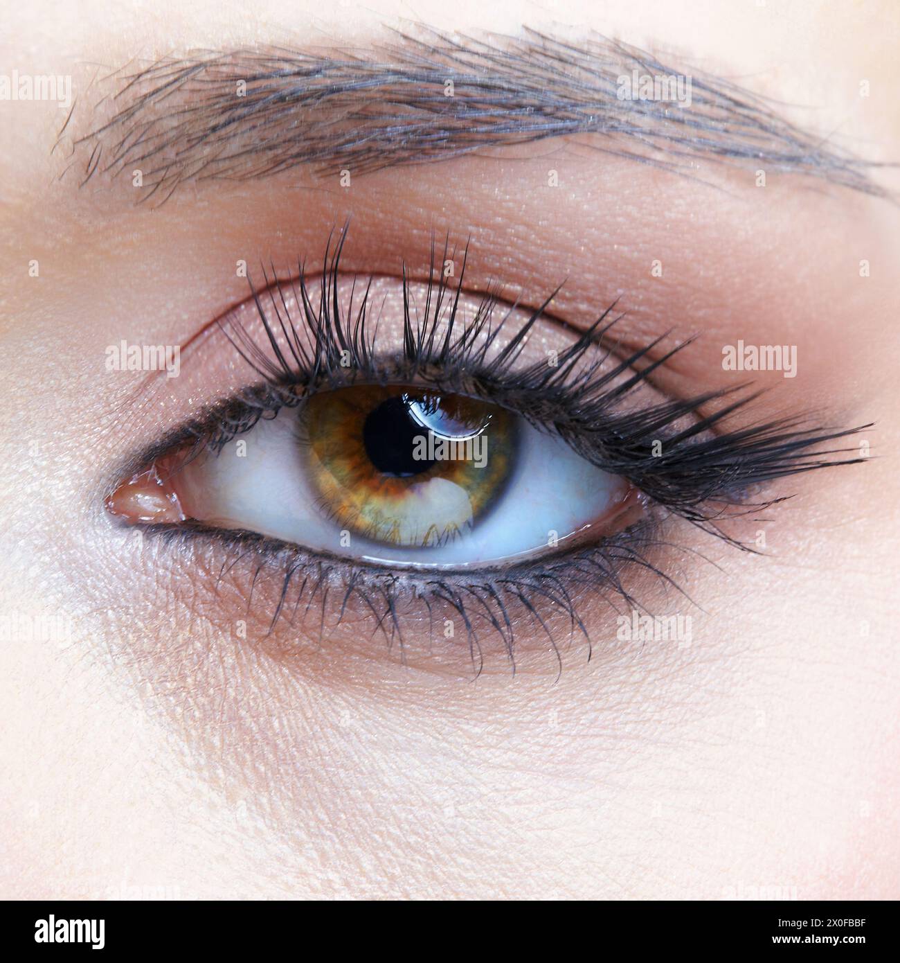 Closeup macro shot of human female eye with black arrows. Woman with natural evening vogue face beauty makeup. Stock Photo