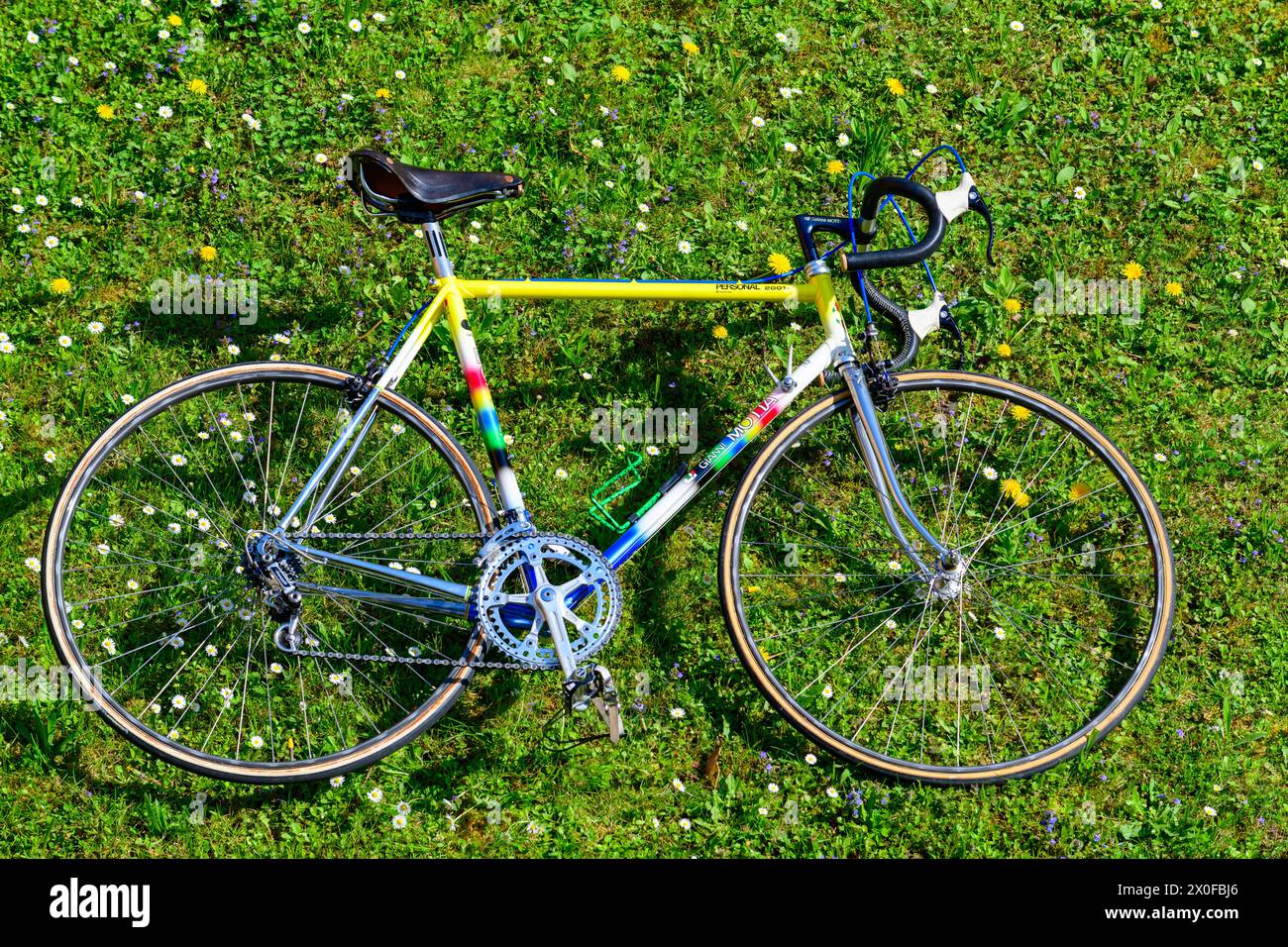 Vélo campagnolo vintage hotsell