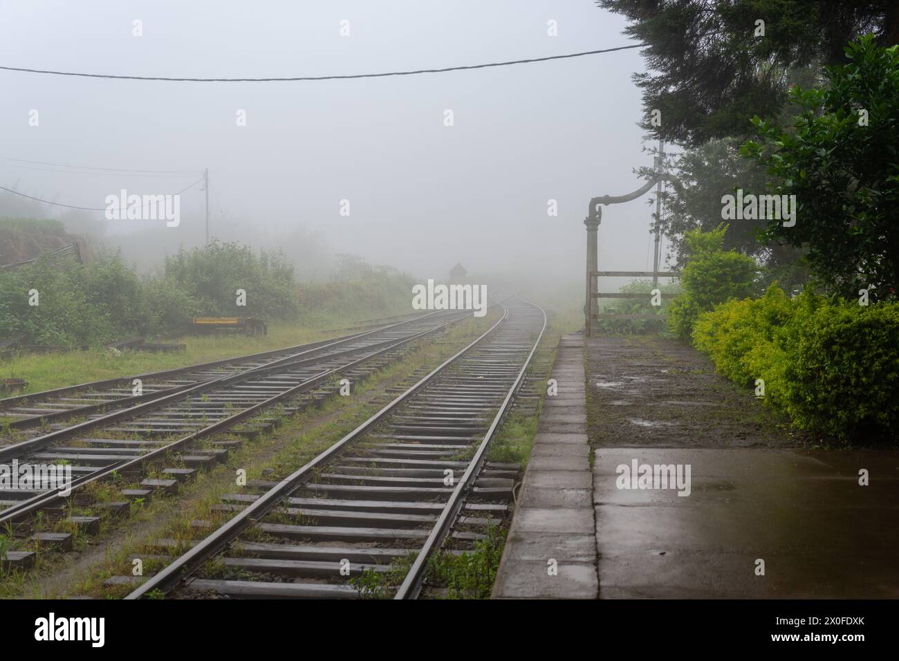 Fog envelops the serene Ambewela railway, highlighting the tracks and greenery. A mystical aura, accentuated by the quietude of nature. Ambewela, Sri Stock Photo