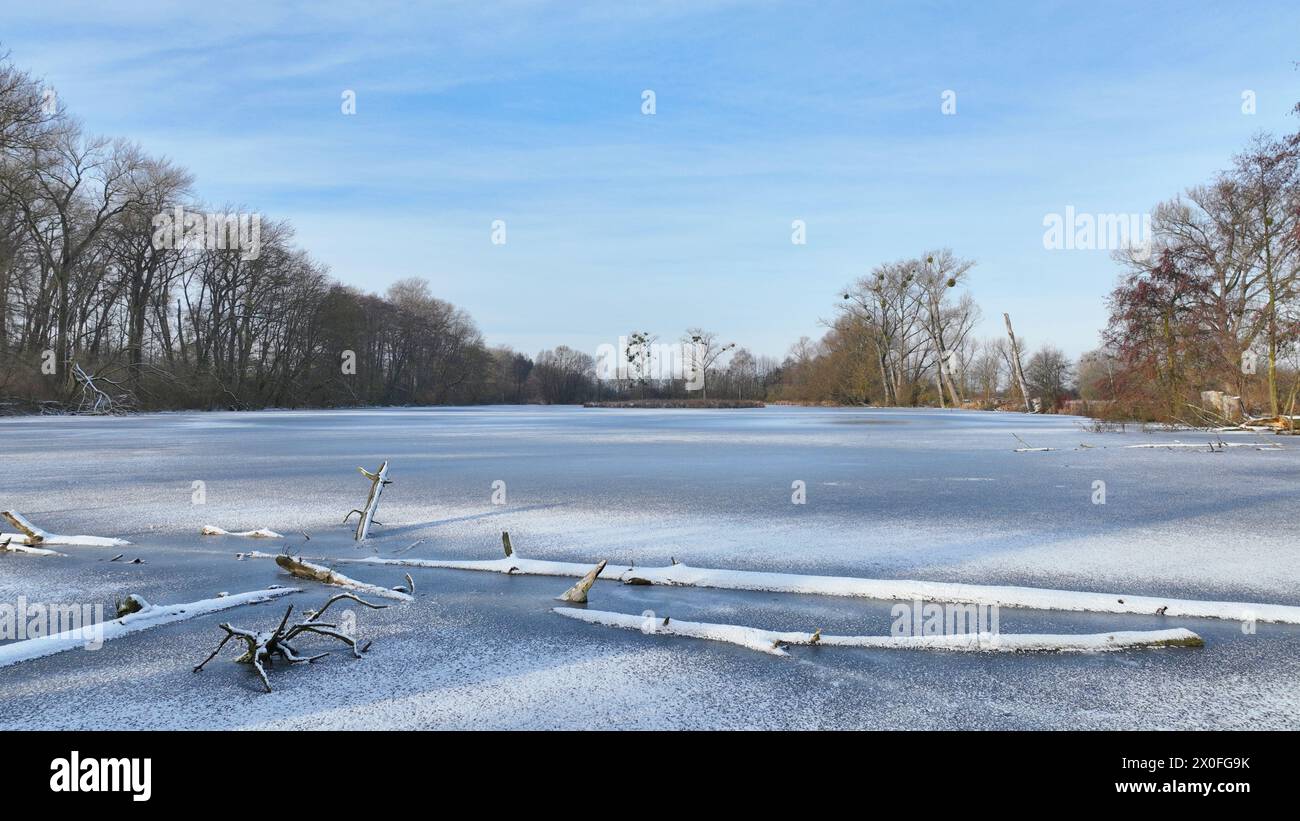 Lowland fens meadow winter snow ice, Hrdiboricke ponds icy frozen Bolboschoenus maritimus, icy frozen,endangered habitat and a natural monument, reed Stock Photo