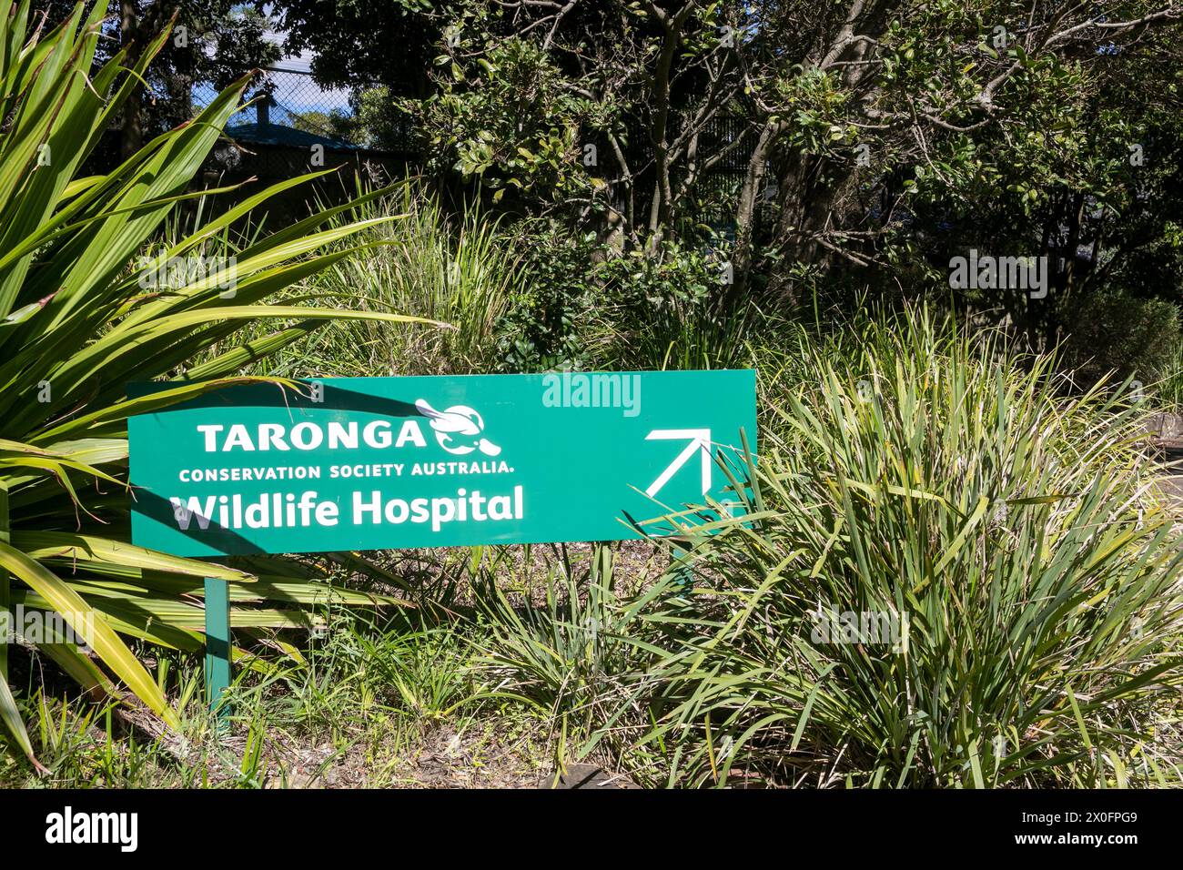 Taronga Zoo wildlife animal hospital facility, lower north shore,Mosman,Sydney,Australia Stock Photo