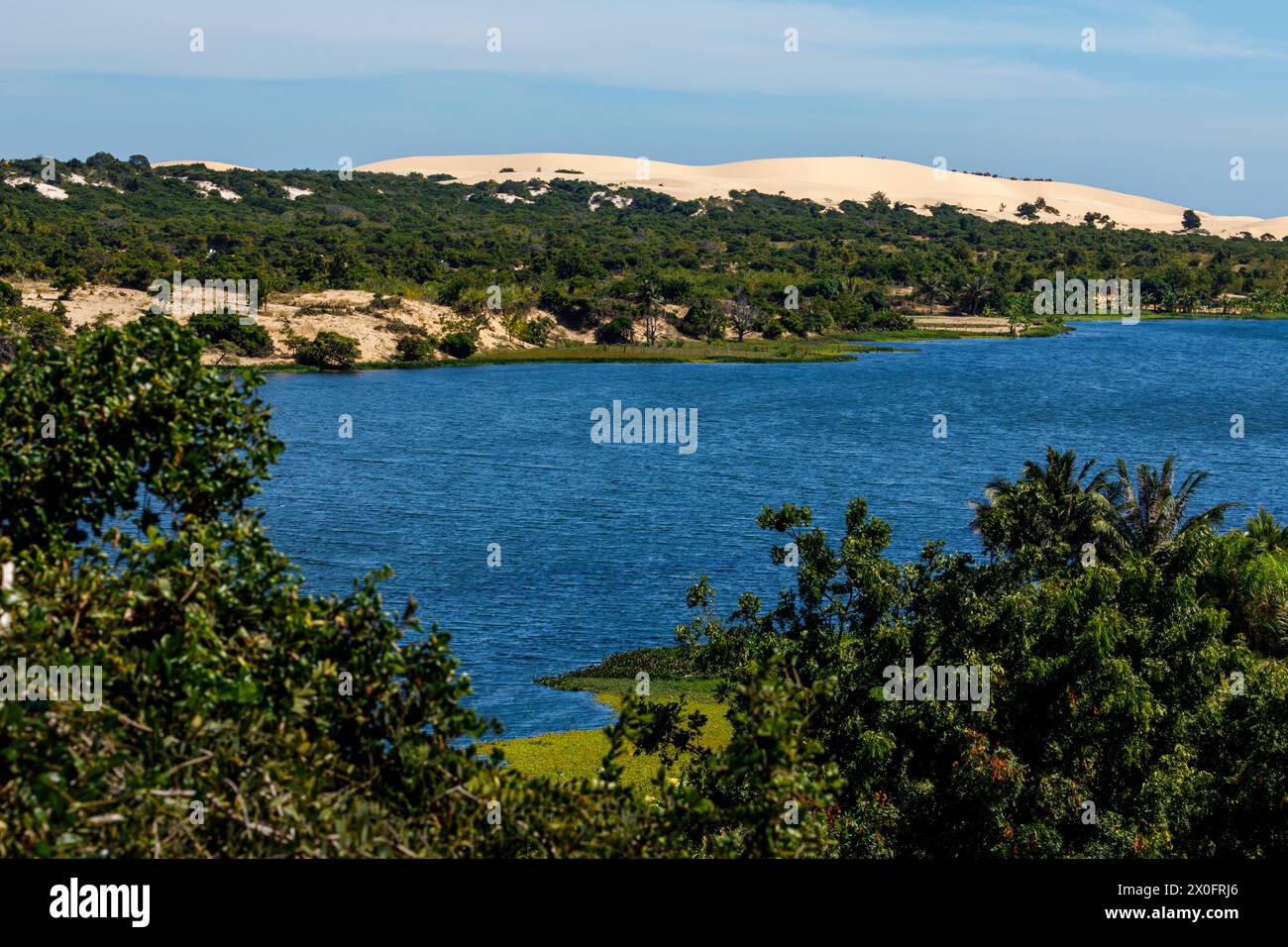 The white sand dunes with the Lake Lotus at Mui Ne in Vietnam Stock Photo
