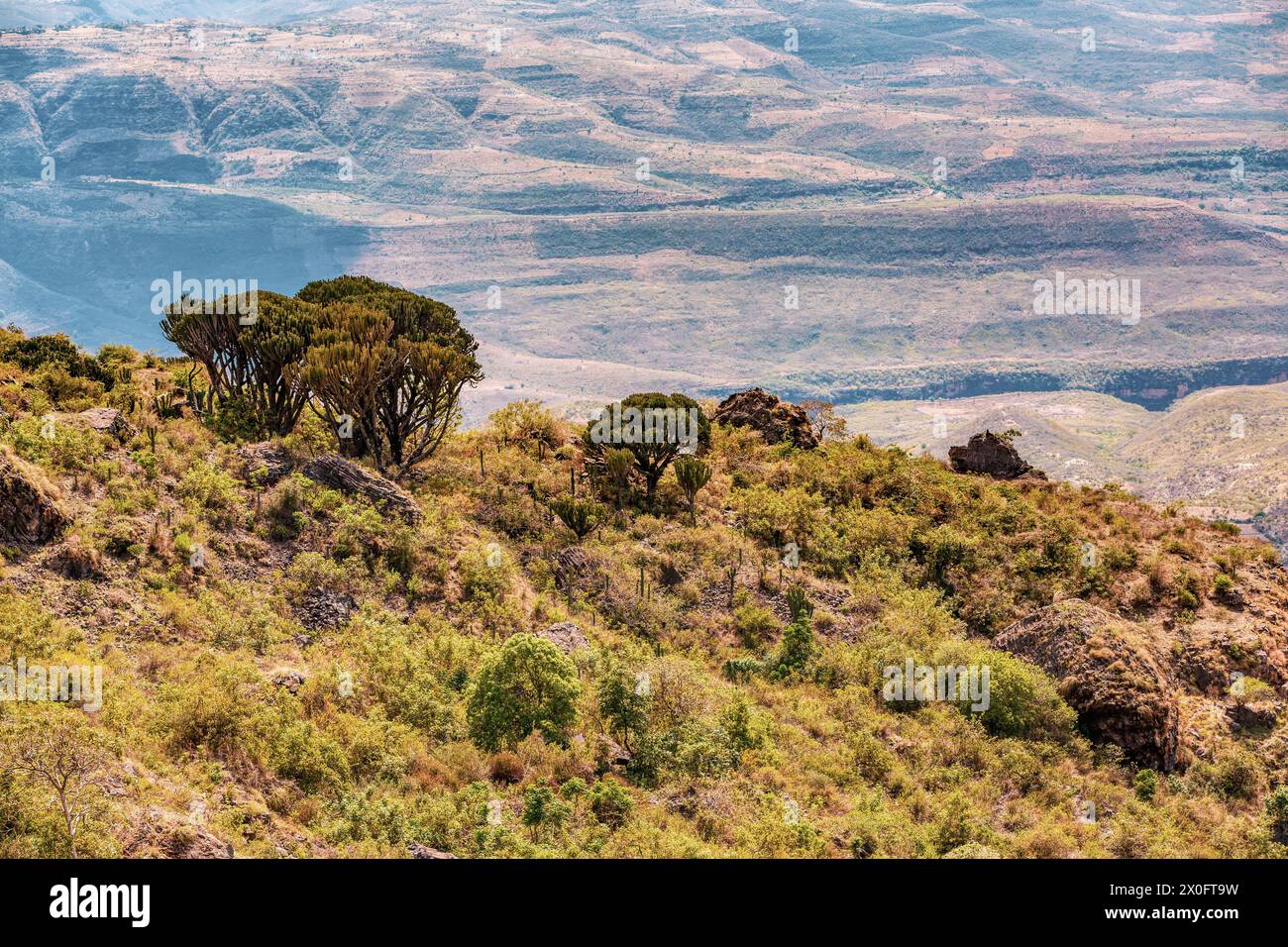 Beautiful mountain highland landscape, Somali Region. Ethiopia wilderness landscape, Africa. Stock Photo