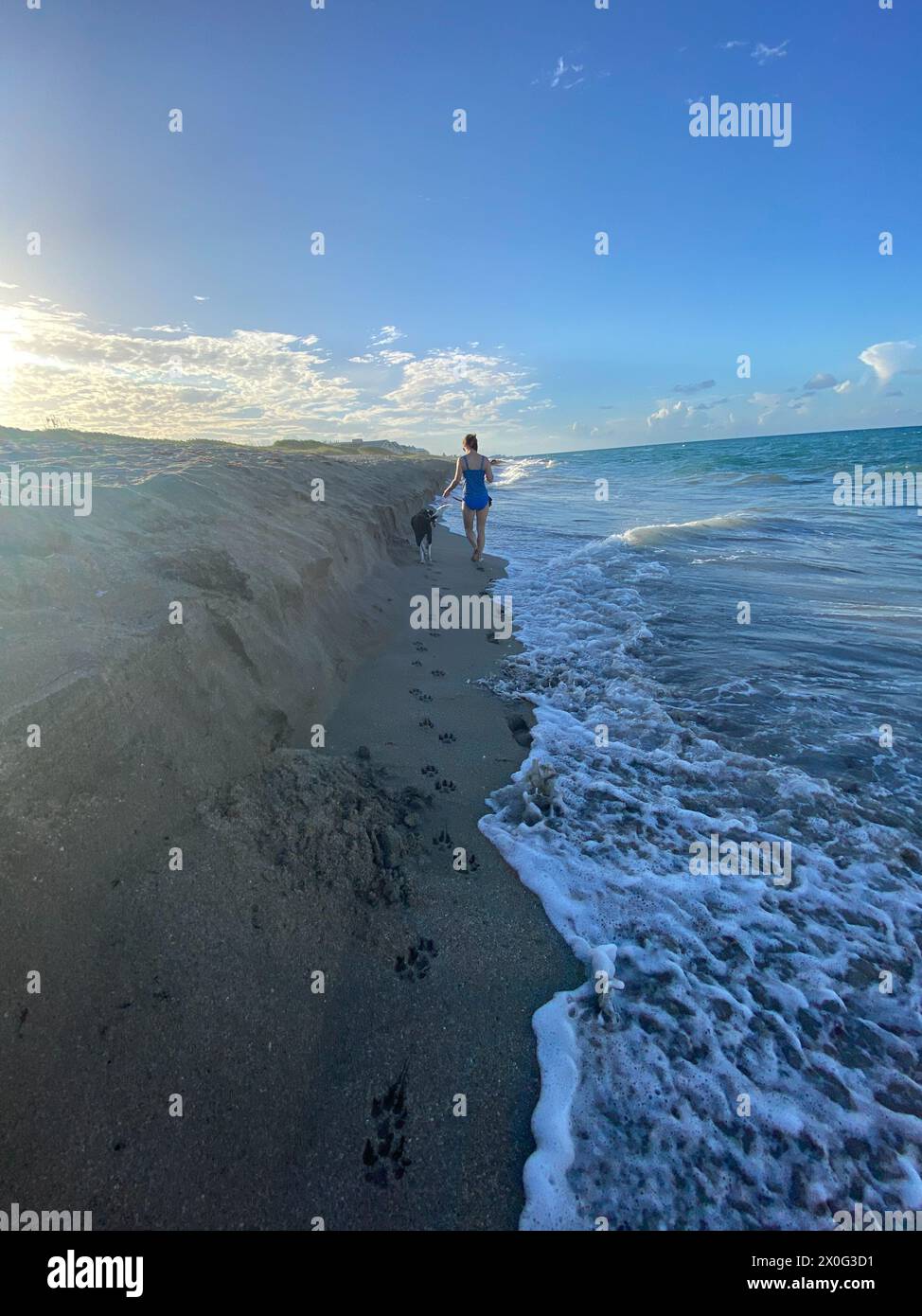 Ocean waves wash away footprints and pawprints from woman walking dog Stock Photo