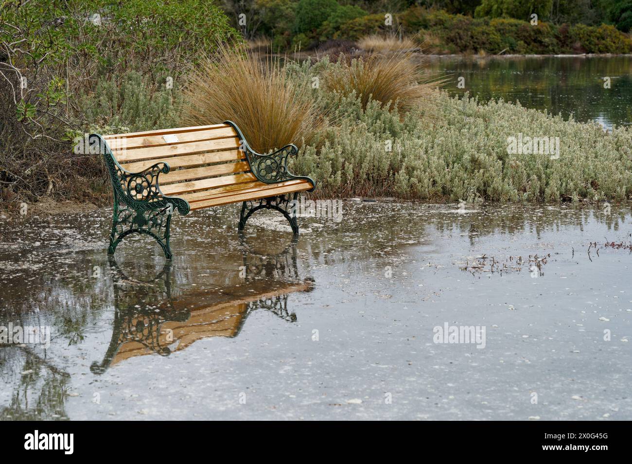 Park bench swamped by a rising sea level, Motueka, south island, Aotearoa / New Zealand's east coast. Stock Photo