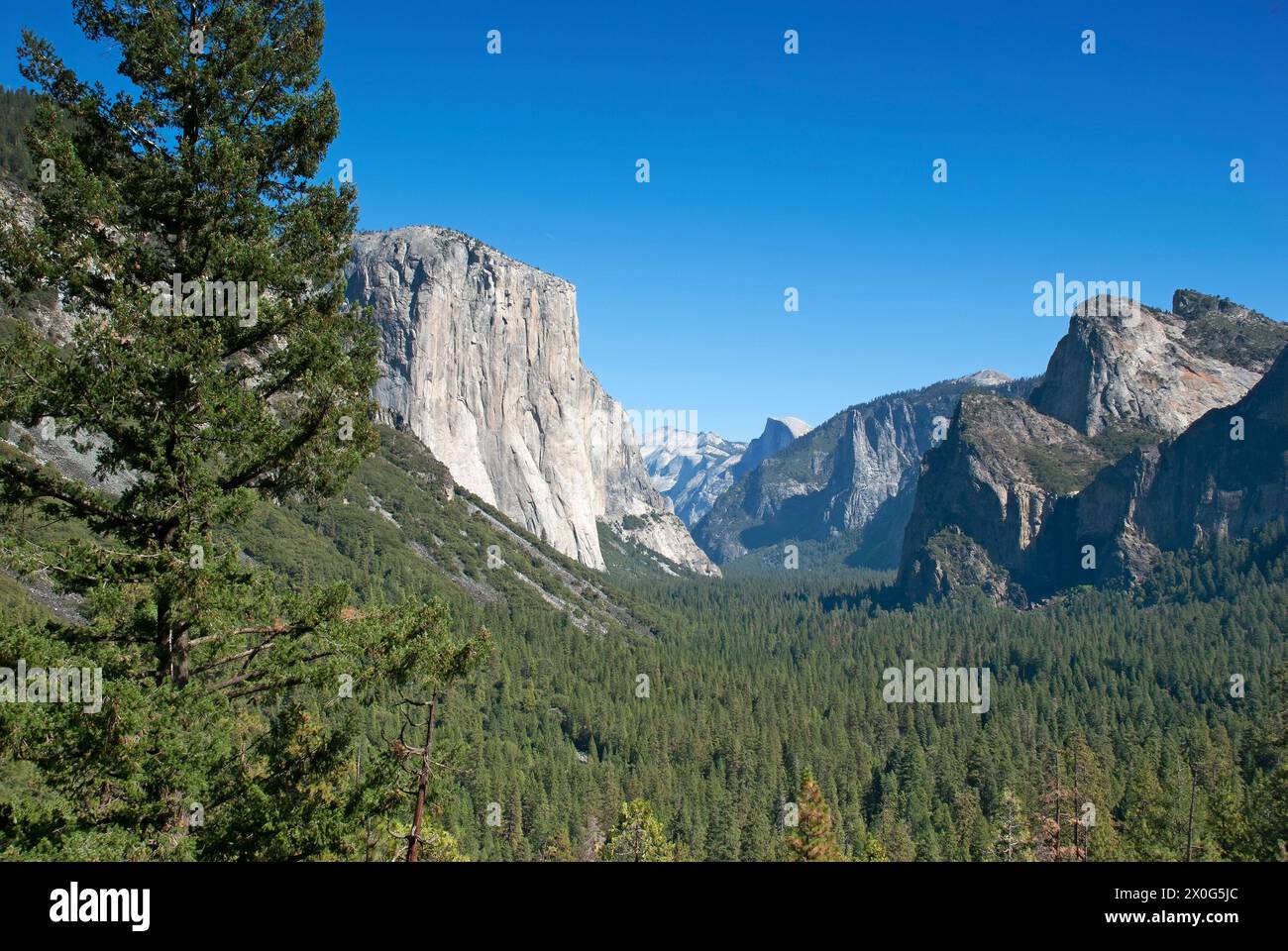 El Capitan and Bridalveil Fall in Yosemite National Park, California Stock Photo