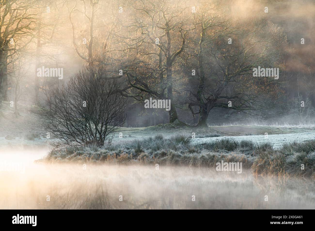 A misty sunrise at Elterwater, The Lake District. Ambleside, Cumbria Stock Photo