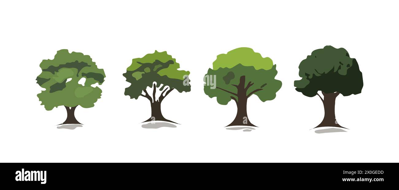 Set of trees vector illustrations isolated on white background. Botanical collection of trees useful to illustrate any nature or healthy lifestyle. Stock Vector