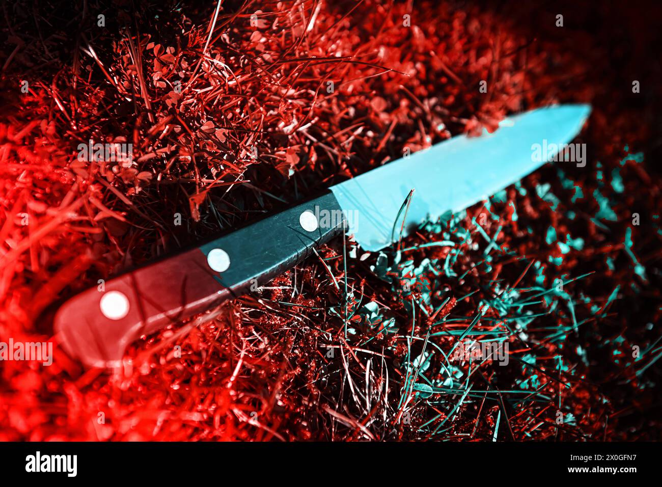 Messer liegt auf Rasen, Symbolfoto Kriminalität *** Knife lying on lawn, symbolic photo crime Stock Photo