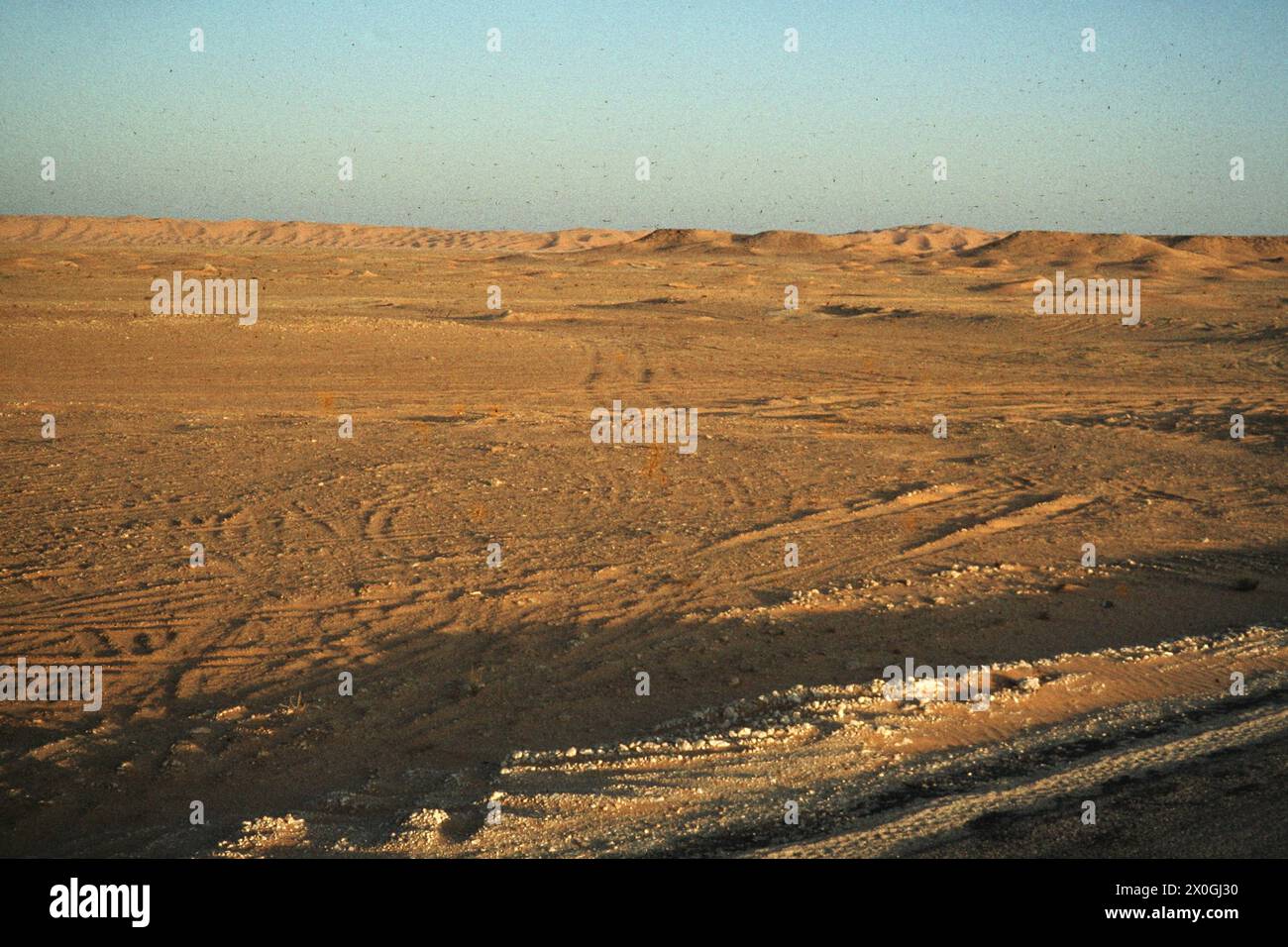 Tademait Hi Res Stock Photography And Images Alamy The Tademait Plateau Behind El Golea 2X0GJ30