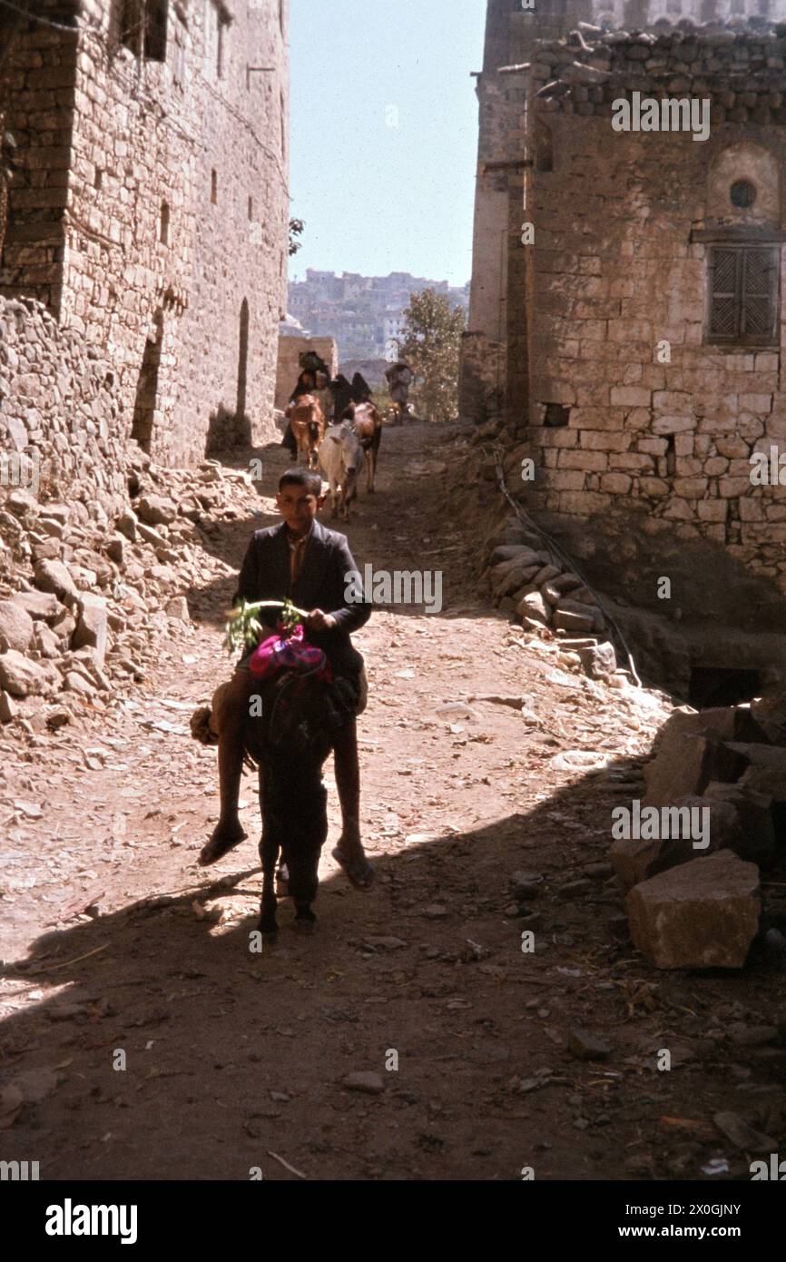 A boy rides a donkey along an alley in the old town of Djiblah. [automated translation] Stock Photo