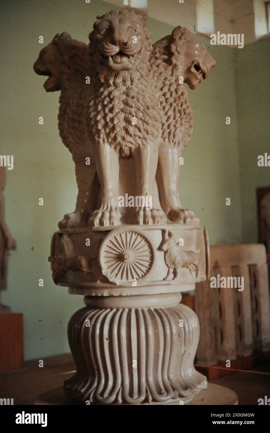 Capital of the Ashoka Column with lion sculptures in a museum in Sarnath. Stock Photo