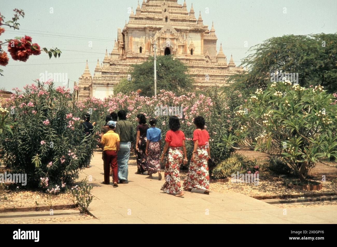 Eine burmesische Familie auf dem Weg durch einen Garten zum Gaw-Daw-Palin-Tempel in Bagan. Stock Photo