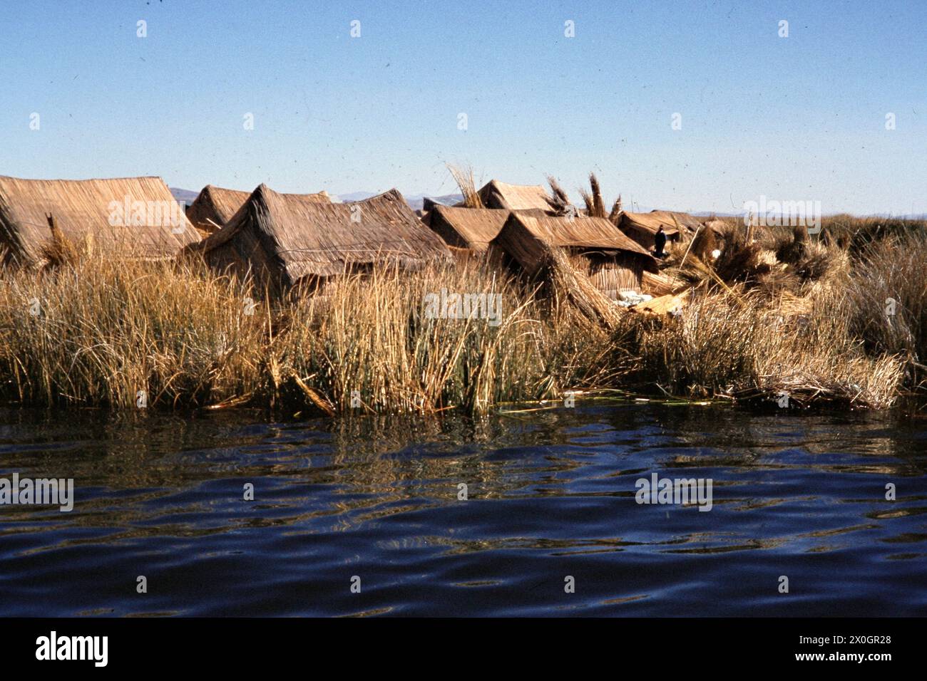 Reed huts on a floating island of the Urus on Lake Titicaca. [automated ...