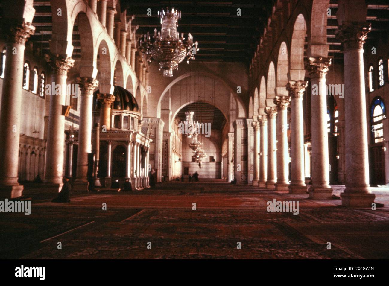 The columns of the prayer hall of the Al-Azhar mosque. [automated ...