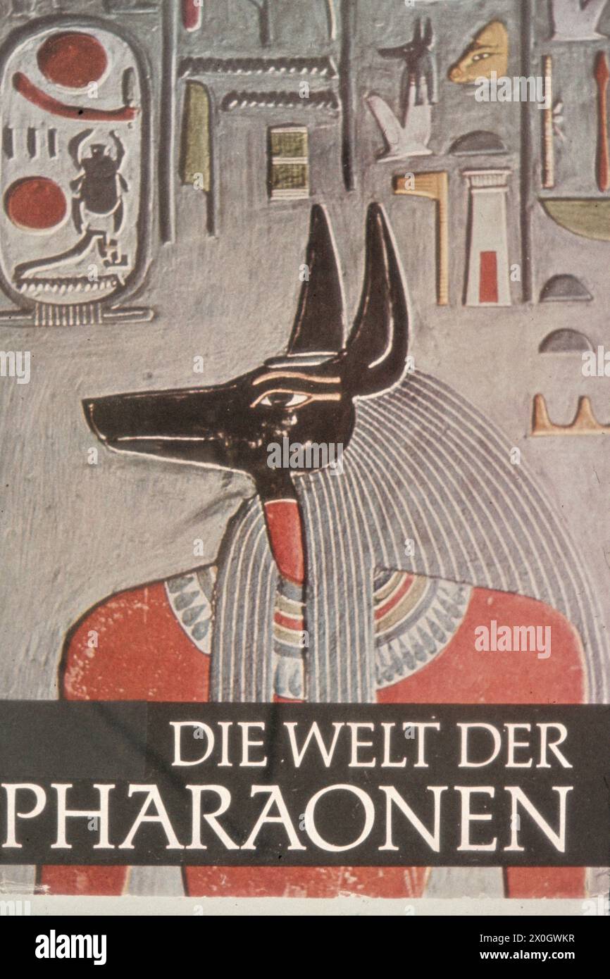 A brochure shows a painting of the god Anubis in the tomb of Tutankhamun. [automated translation] Stock Photo