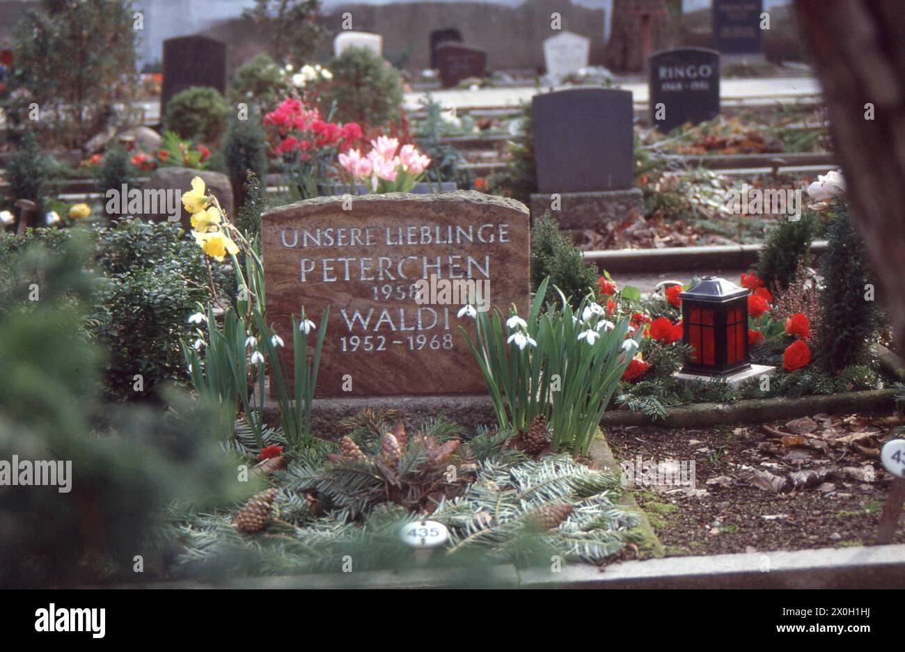 Grave stone with the inscription 'Our beloved Pterchen, Waldi' in the pet cemetery of an animal shelter in Berlin. Stock Photo