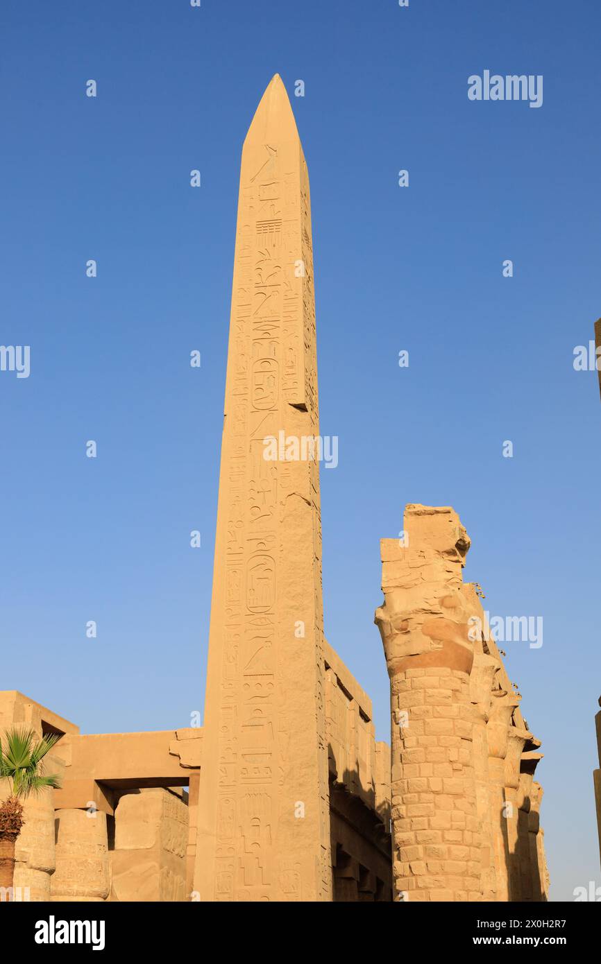 Obelisk of Hatshepsut, Karnak Temple of Pharaoh Senusret 1, Luxor, Egypt Stock Photo