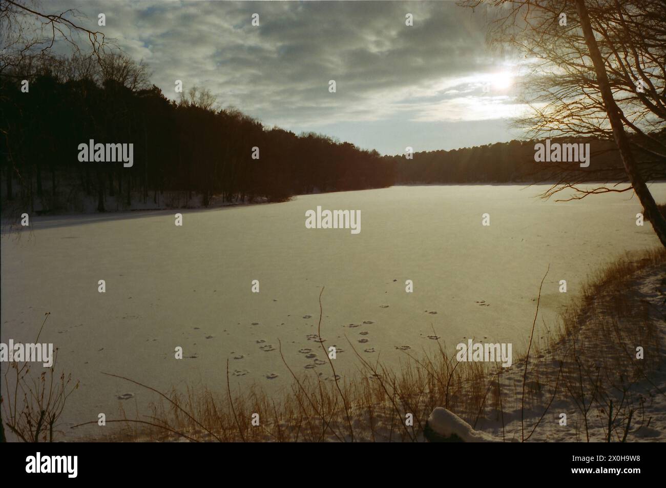 krumme lanke flat sandy beach