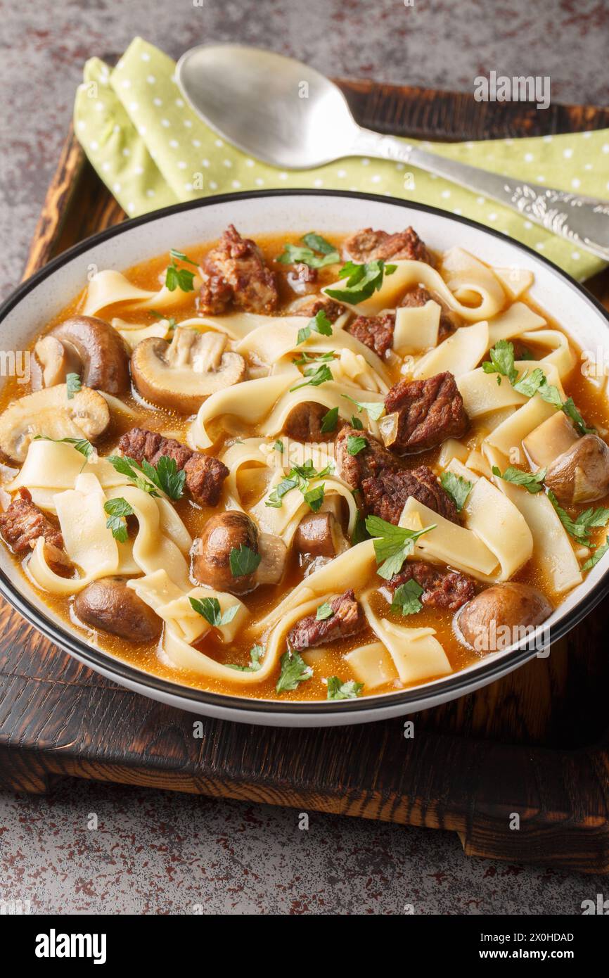Thick beef stroganoff soup with homemade noodles and mushrooms close-up in a bowl on the table. Vertical Stock Photo
