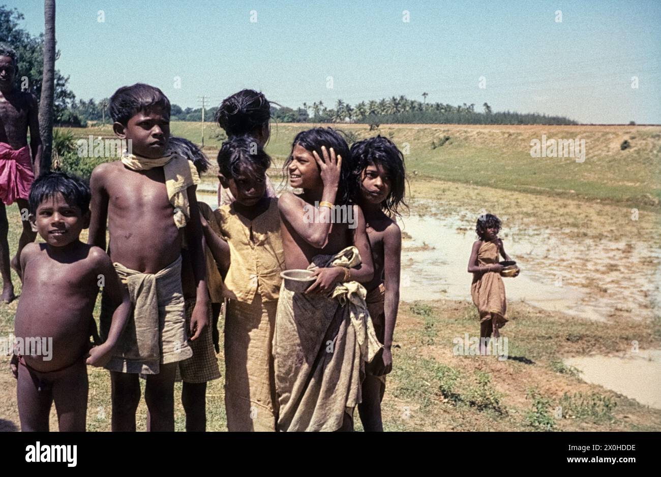 Children at the edge of a rice field [automated translation] Stock Photo