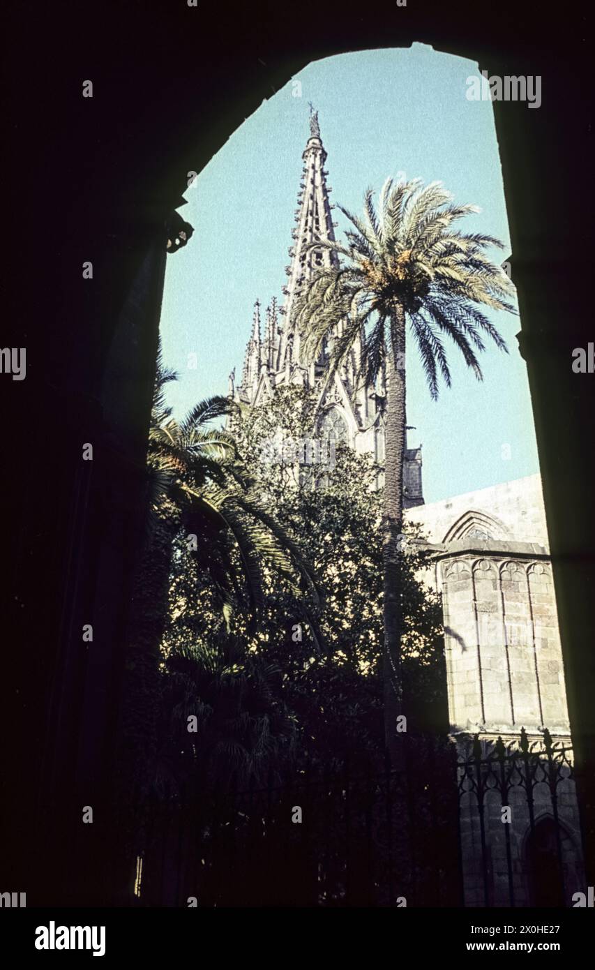 Tower of the cathedral seen through an archway. Palm trees in front ...
