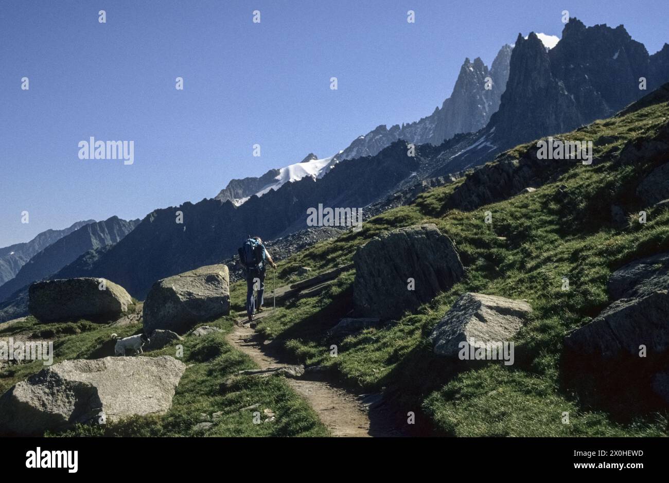 A man with a heavy rucksack walks along the hiking trail from Plan d'Aiguille to Montenvers. [automated translation] Stock Photo