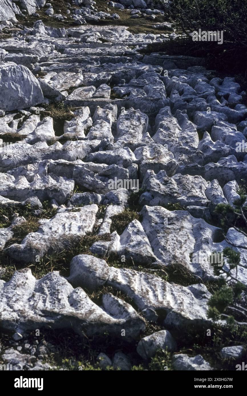 Bizarre formations in the rock caused by erosion. [automated translation] Stock Photo