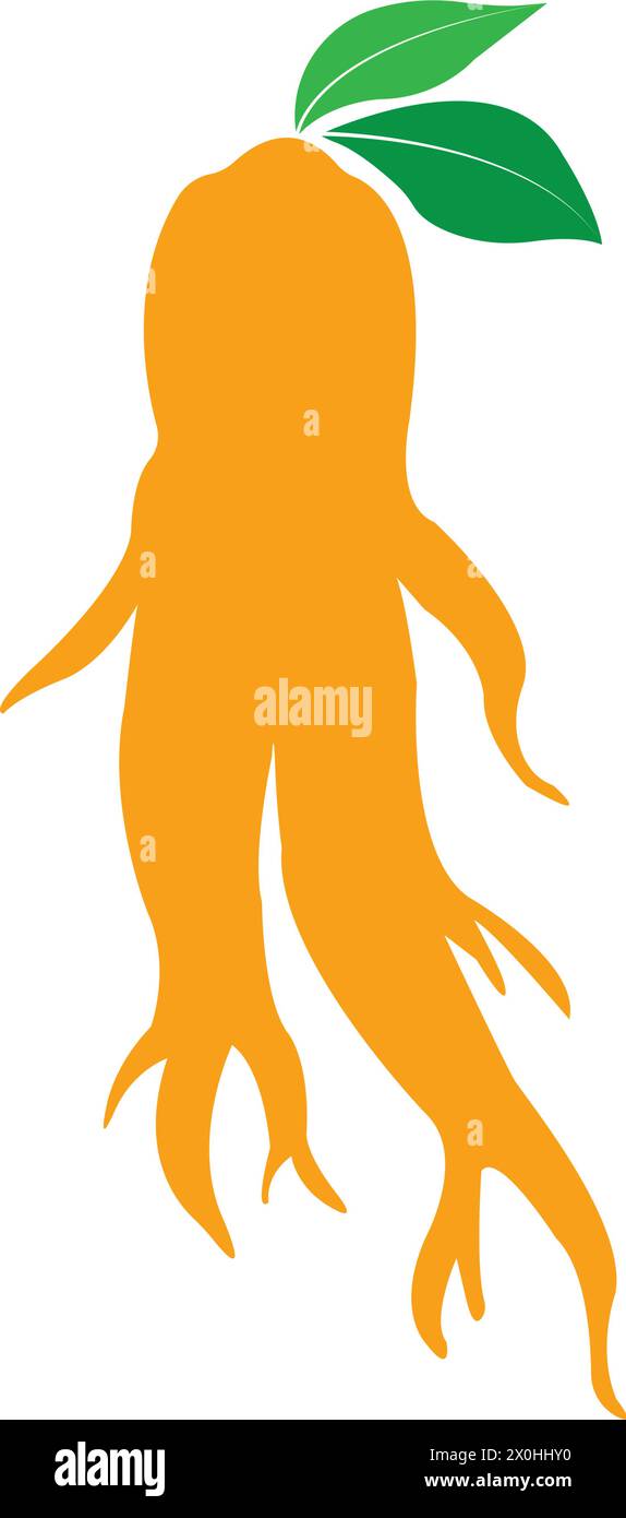 Ginseng icon Vector Illustration design Logo template Stock Vector